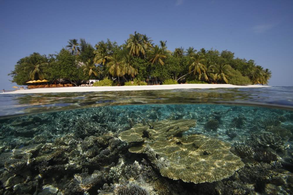 Dhawa Ihuru - Bild 4