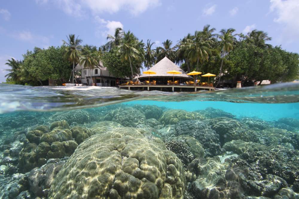 Dhawa Ihuru - Bild 4