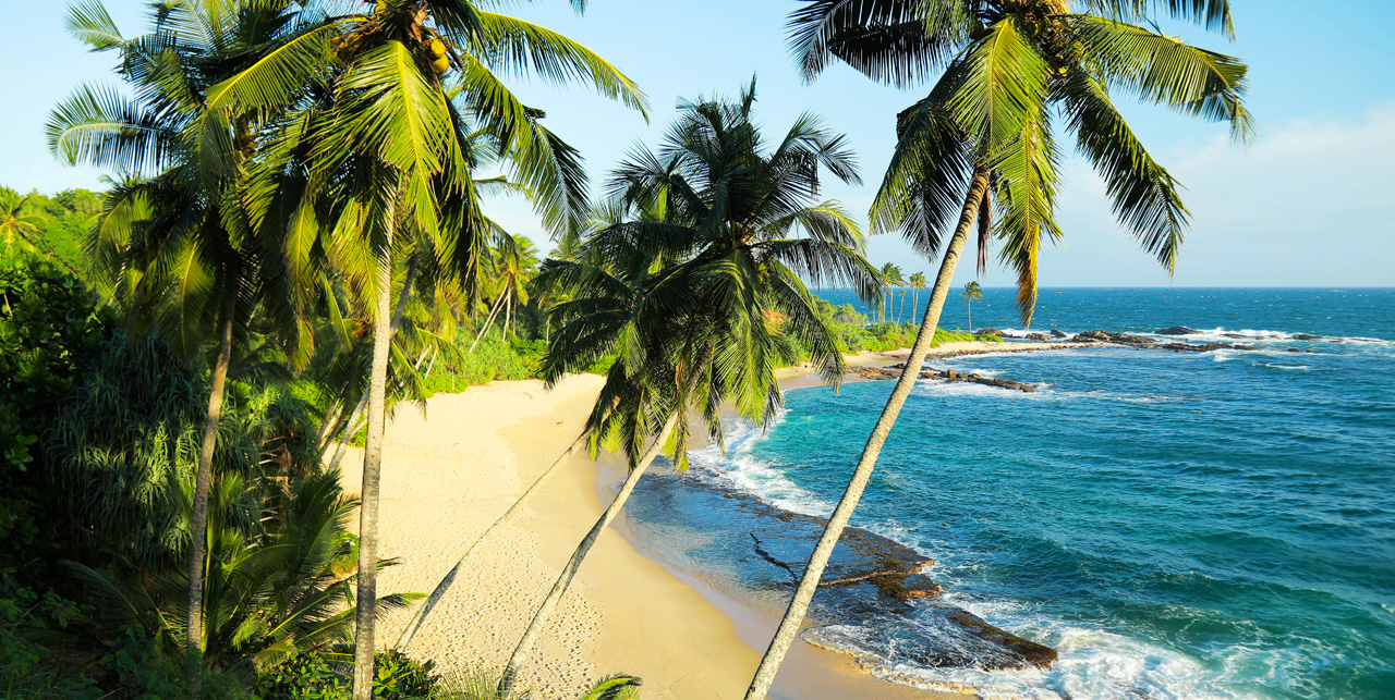 Eva Lanka Hotel — view 3