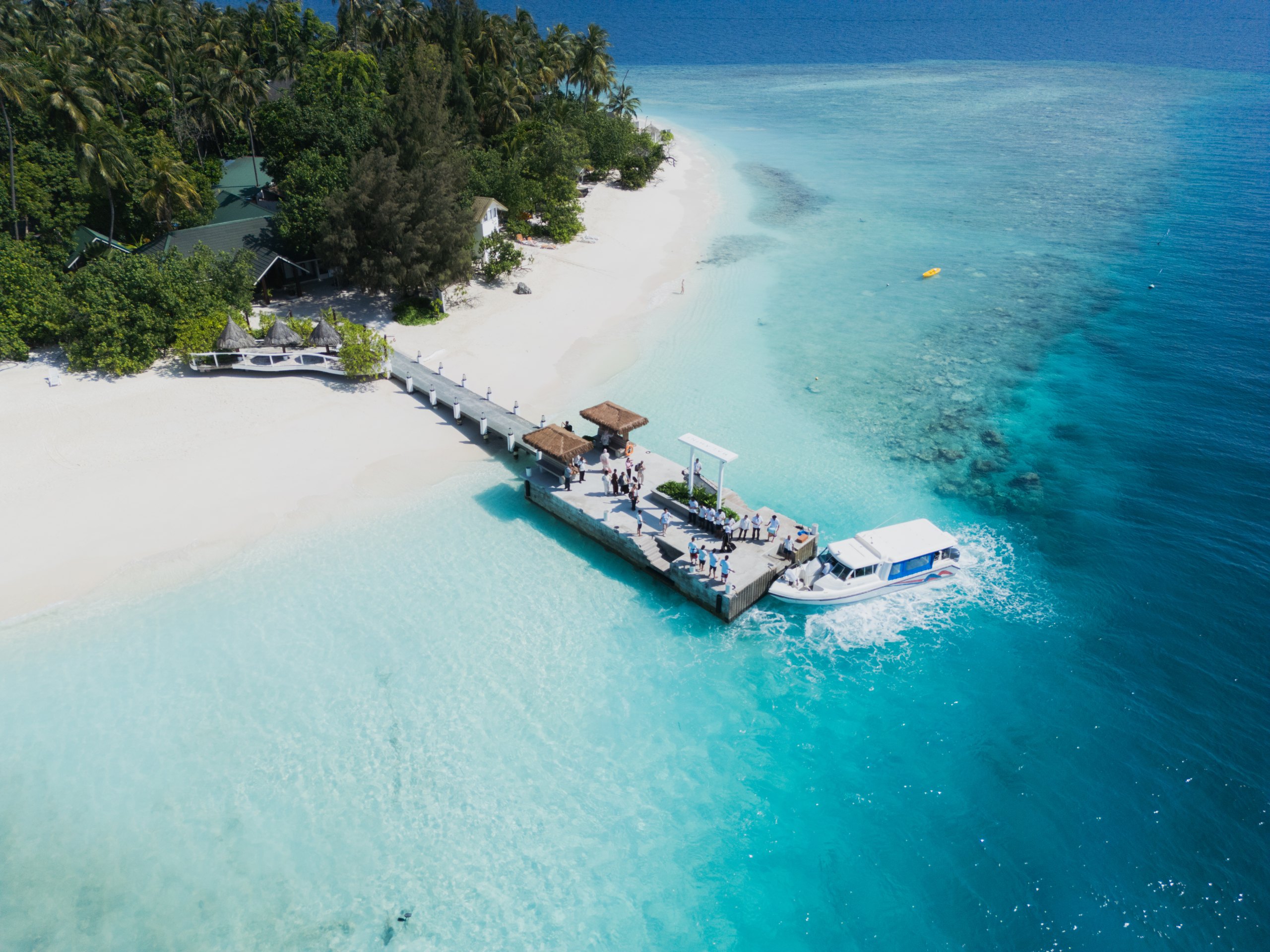 Malahini Kuda Bandos