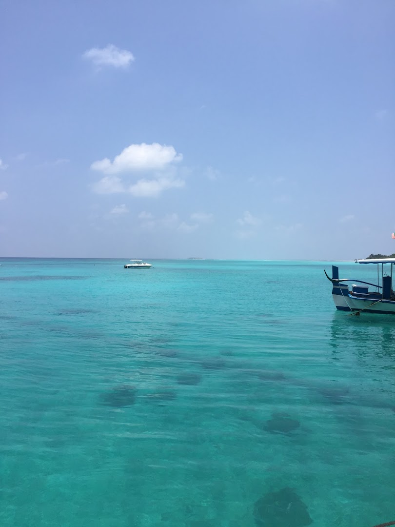 Palm Beach Island Resort & Spa photo 5