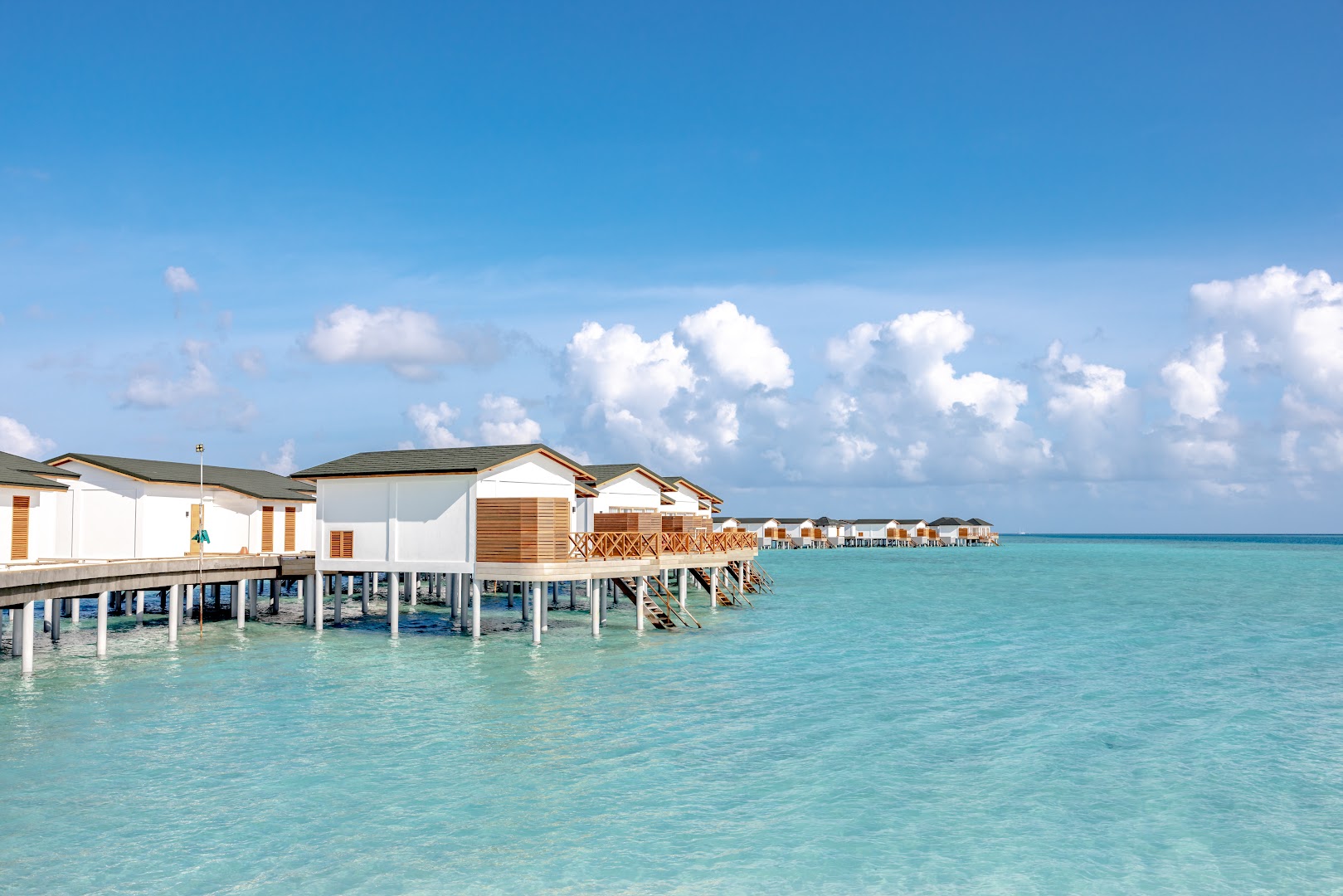 Pool Bar at Joy Island Maldives by The Cocoon Collection thumbnail 7