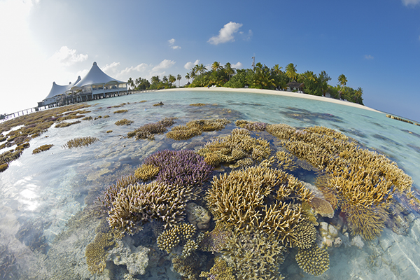 Safari Island Maldives