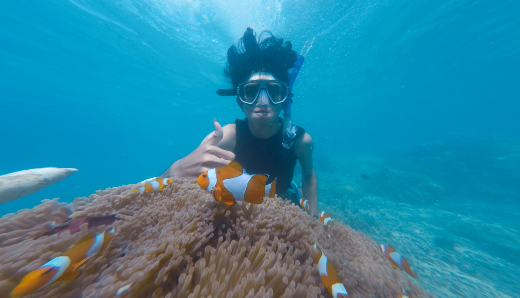 Hideaway Dive Centre