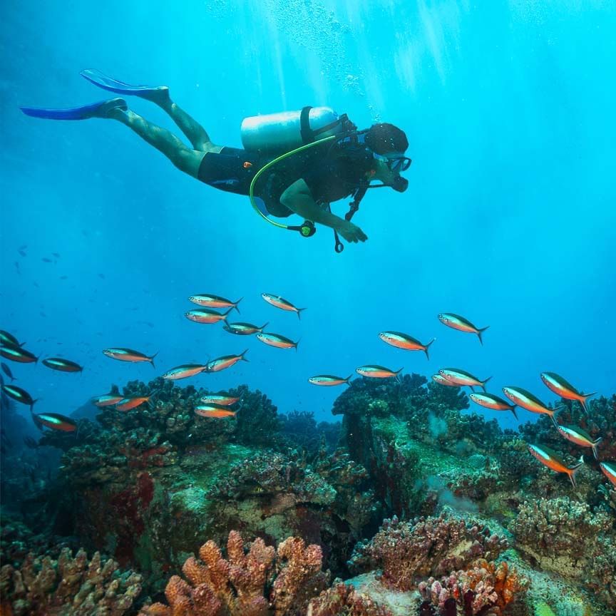 Scuba Diving