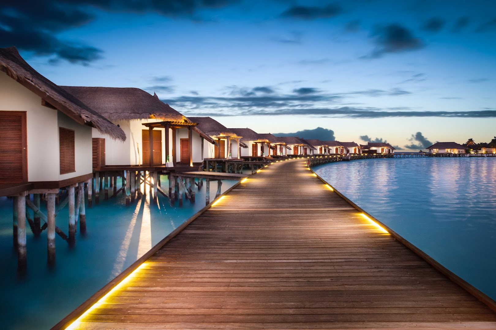 OZEN RESERVE BOLIFUSHI photo 4