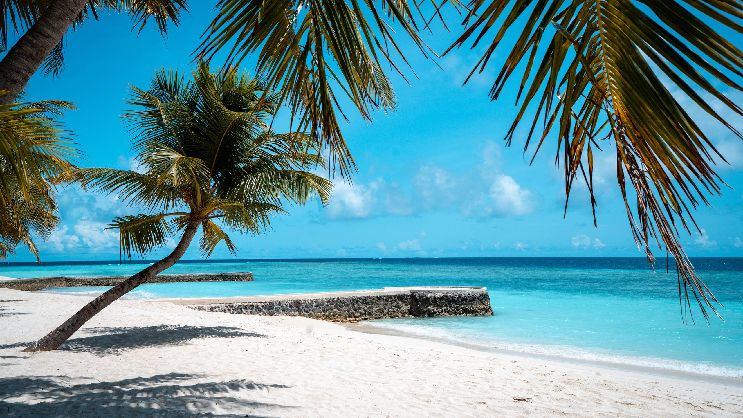 Beach Bungalow