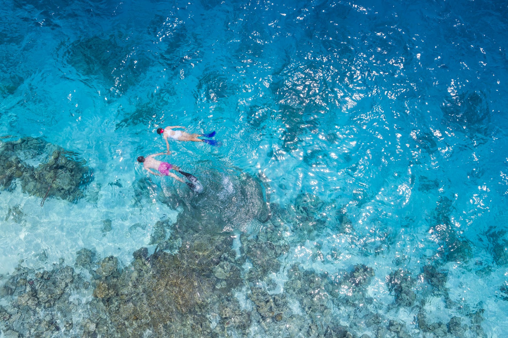 OZEN RESERVE BOLIFUSHI photo 2