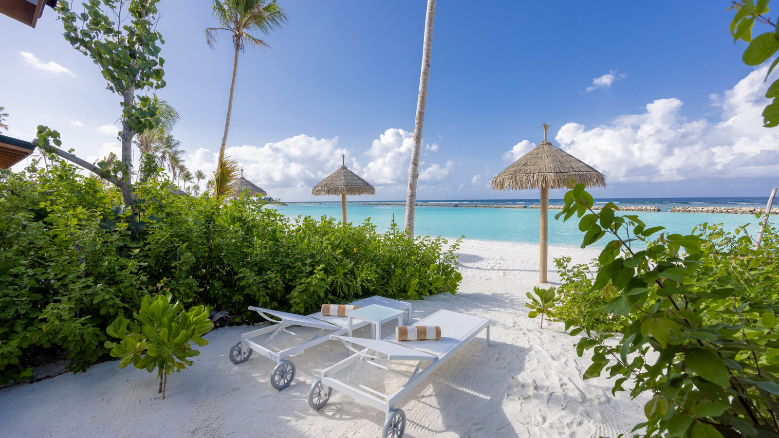 Beach Suite
