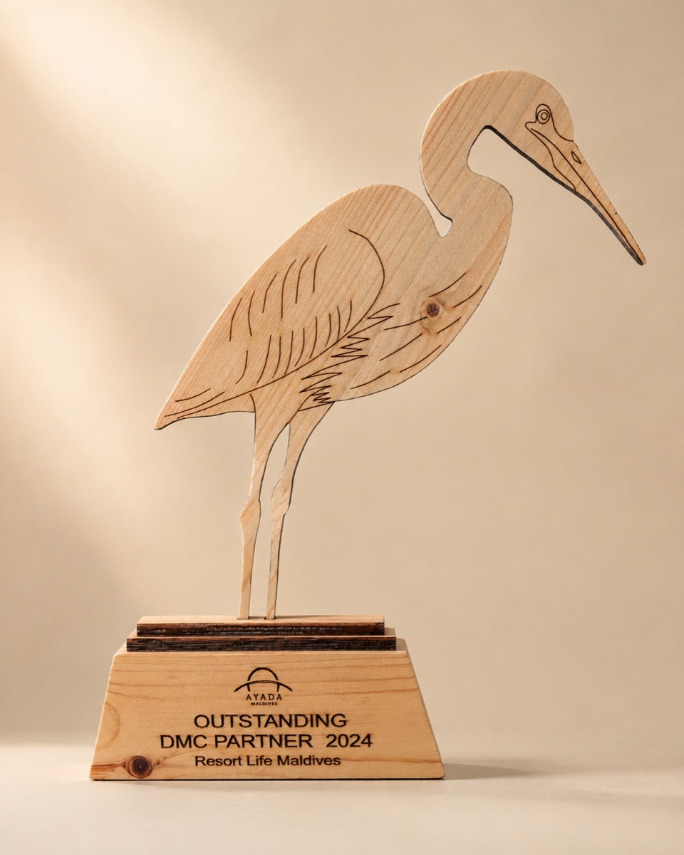 Outstanding DMC Partner — Ayada Maldives (2024)