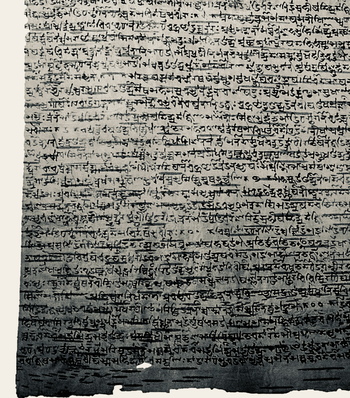 Rigveda palm-leaf folio in Sharada script, recovered from Kashmir.